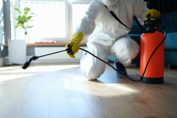 Reliable Hoarding Cleanup contractor in Saint Cloud, FL by Dulley Family Biohazard Services